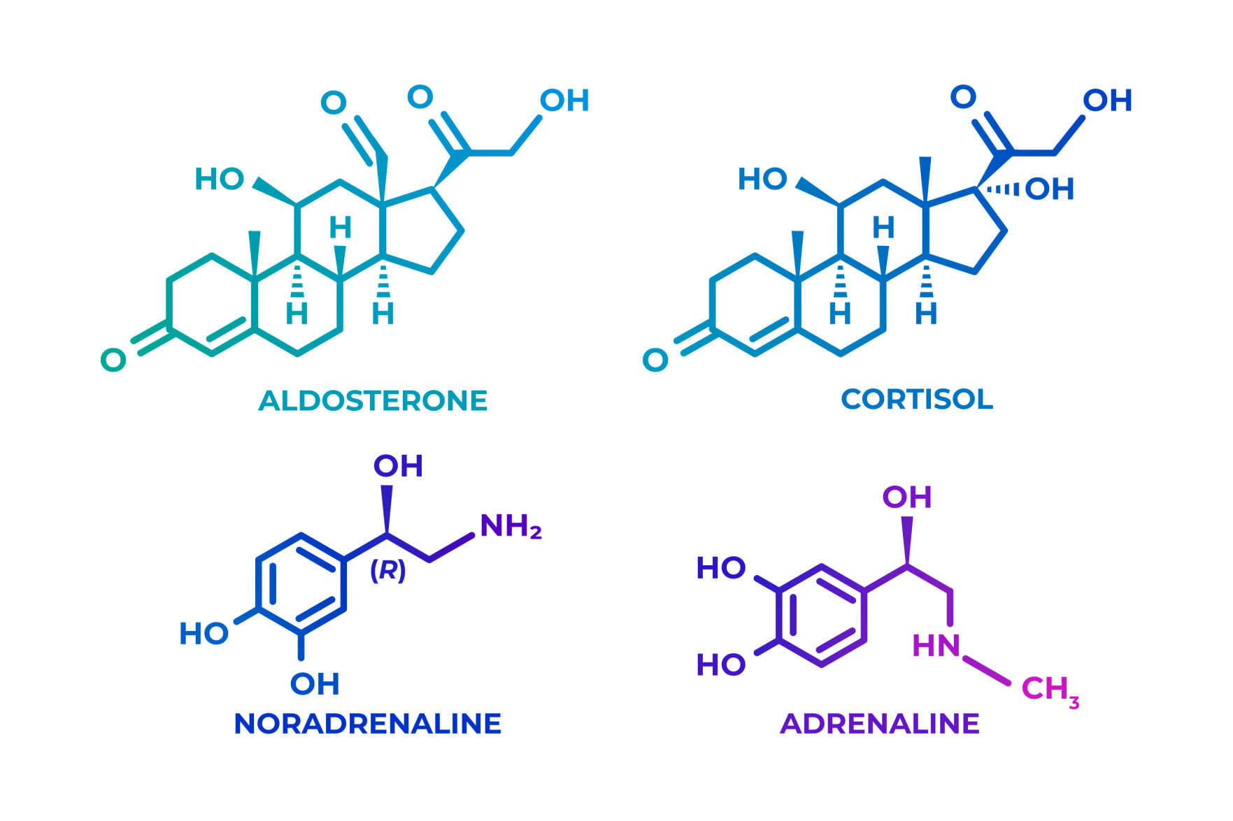 Azelaic Acid